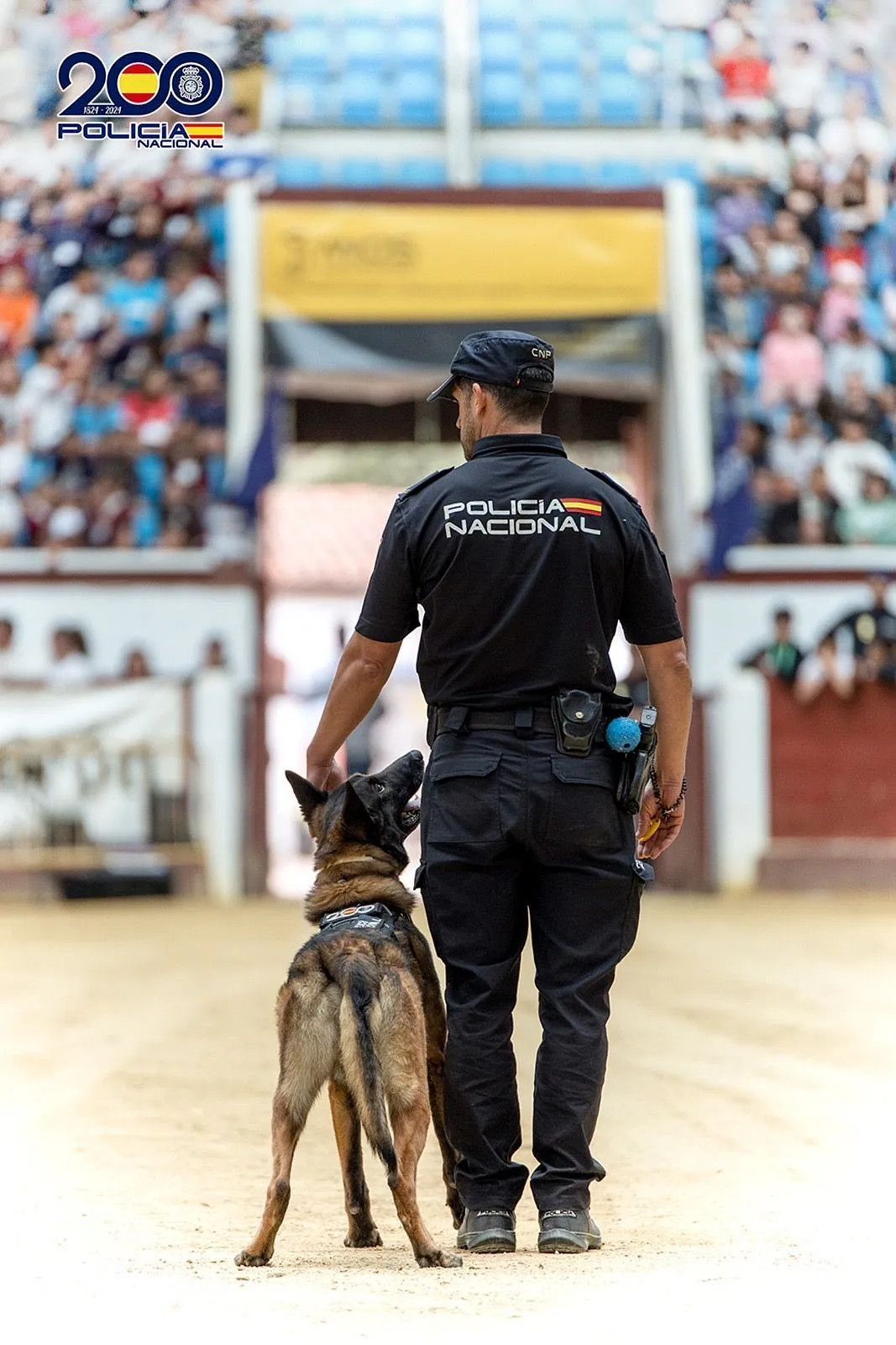 Vehículo de policía